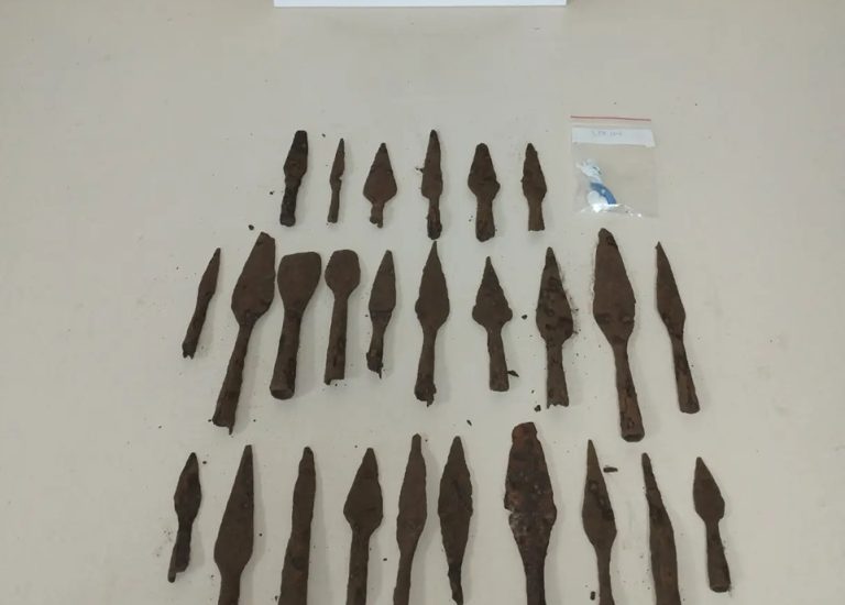 XIFOLOGHES