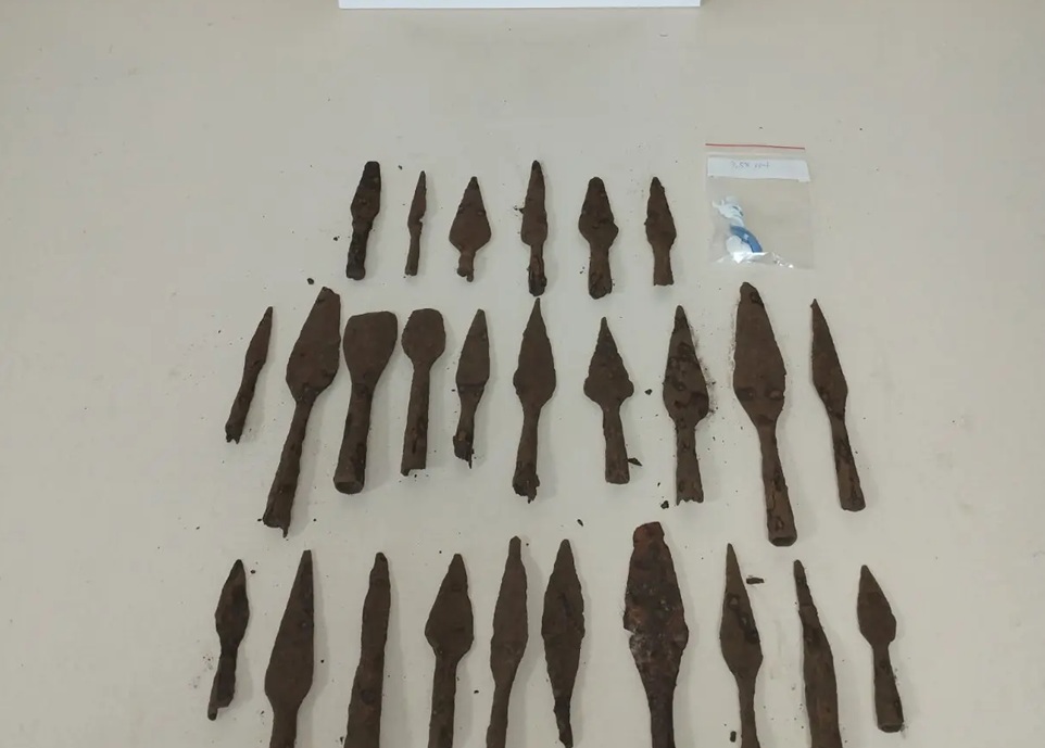 XIFOLOGHES