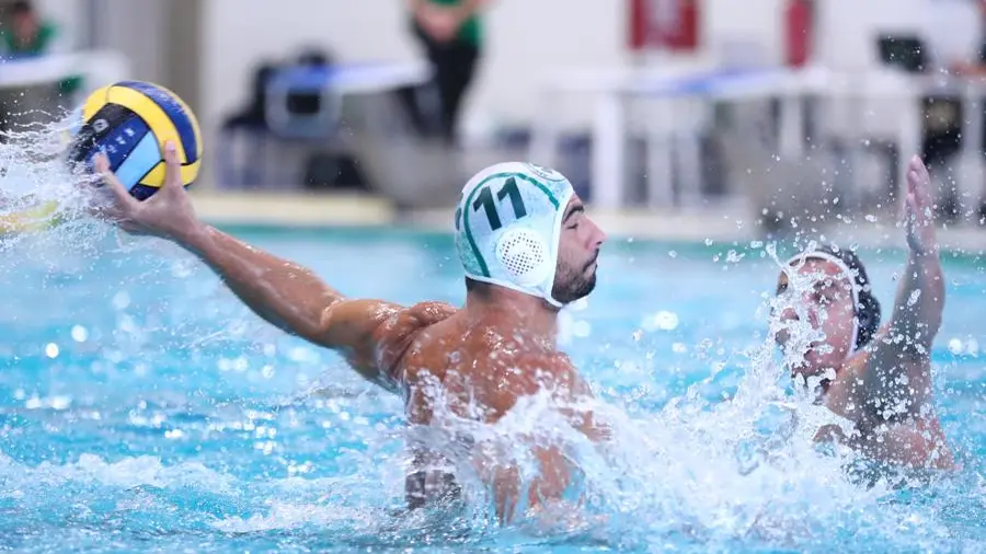 PAO PAOK WP